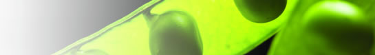 Thermo Scientific CO2 Incubators RFI banner